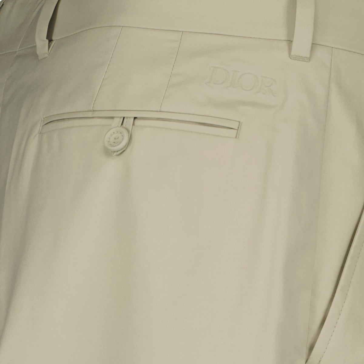 Pleated Trousers