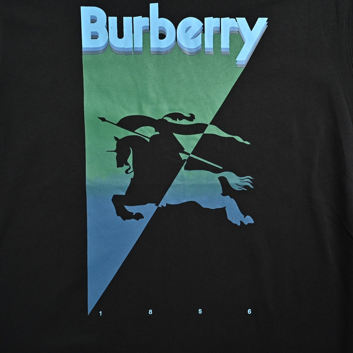 Equestrian Knight Graphic T-Shirt | Black