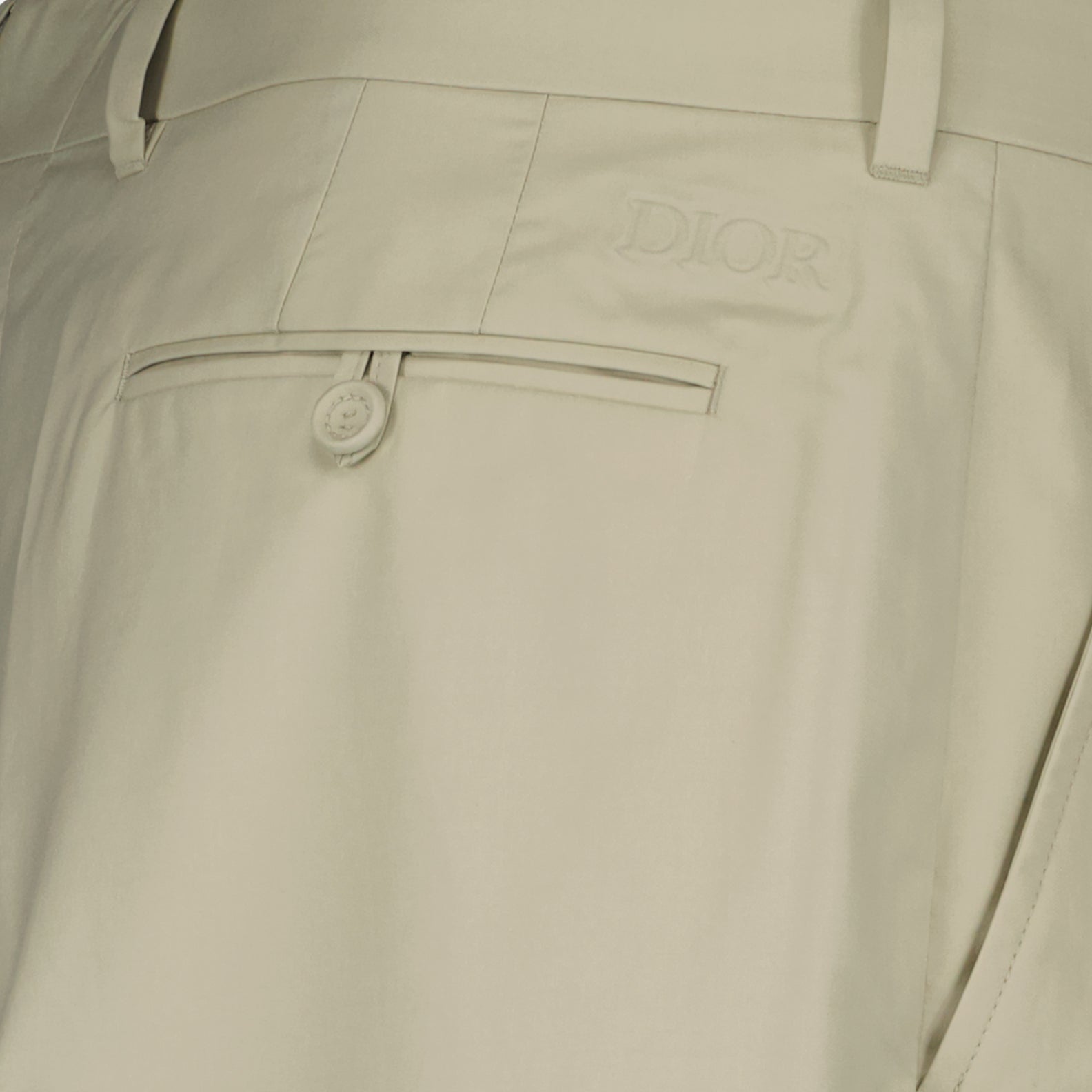Pleated Trousers
