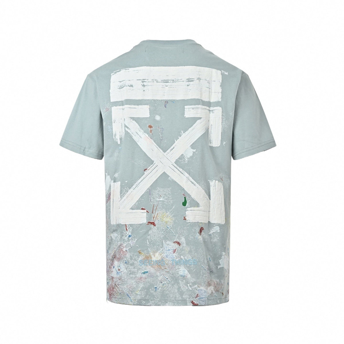 Painted Arrows "Seeing Things" T-Shirt | Dusty Mint Green
