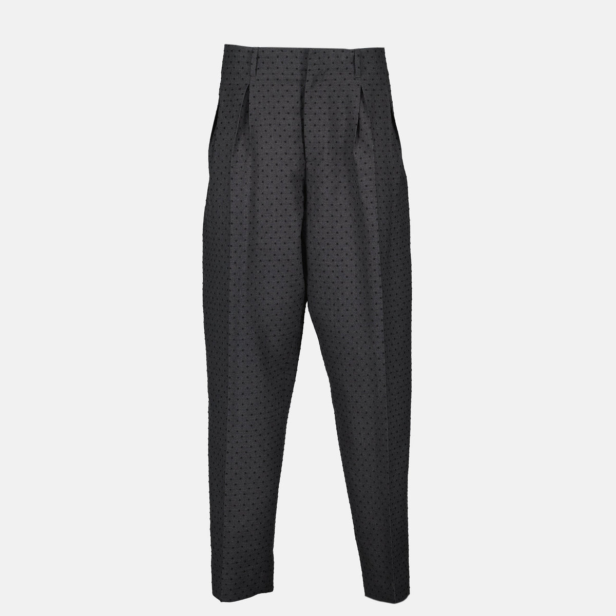 Pleated Pants