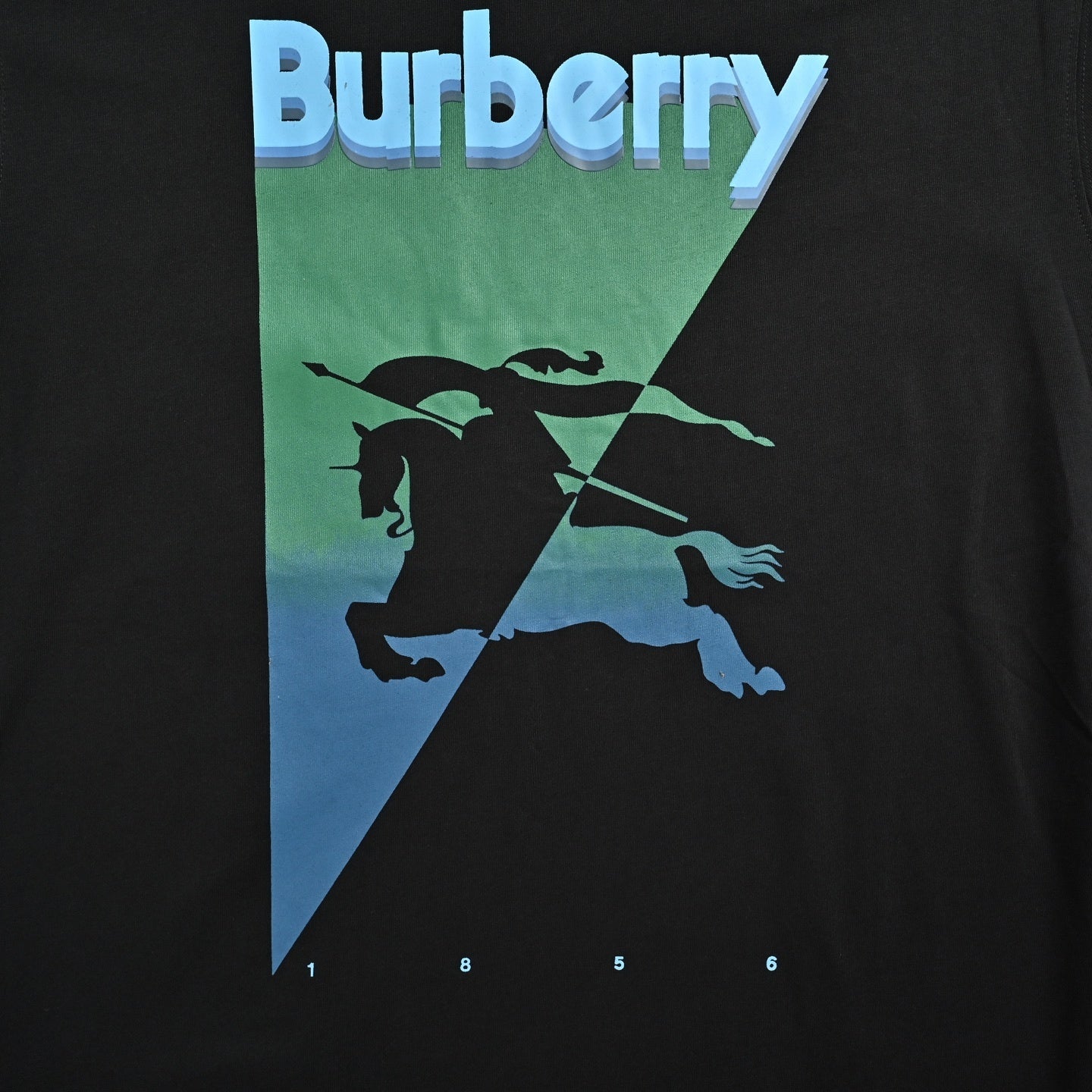 Equestrian Knight Graphic T-Shirt | Black